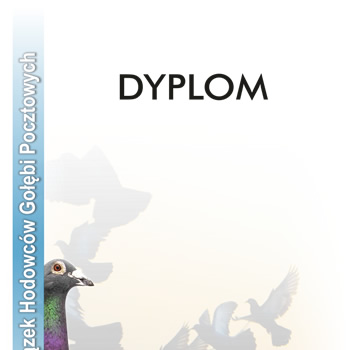 Czysty dyplom gołębi PZHGP