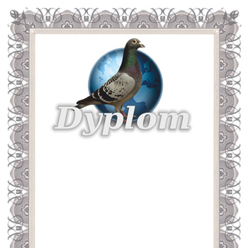 Czysty dyplom gołębi PZHGP