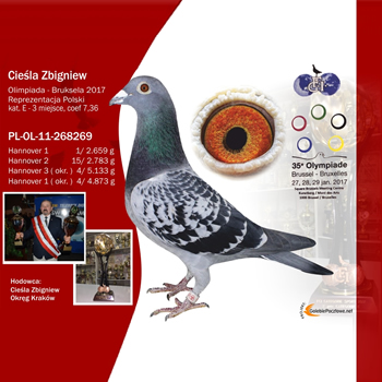 Prezentacja Gołębia: Zbigniew Cieśla